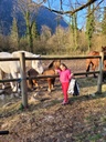 Découverte du poney à la ferme