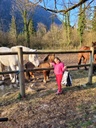 Découverte du poney à la ferme