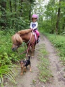 Découverte du poney en famille