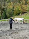 Séance de coaching individuelle assistée par le cheval