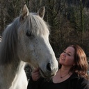 Découverte du cheval dans son environnement naturel